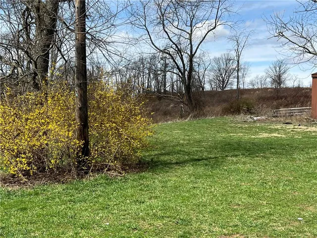 a front view of a house with a yard and an tree