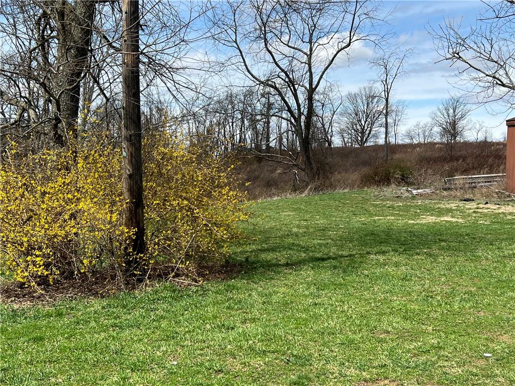 53 Linden Road Canonsburg, PA 15317 - Photo 17 of 19 a view of backyard with green space