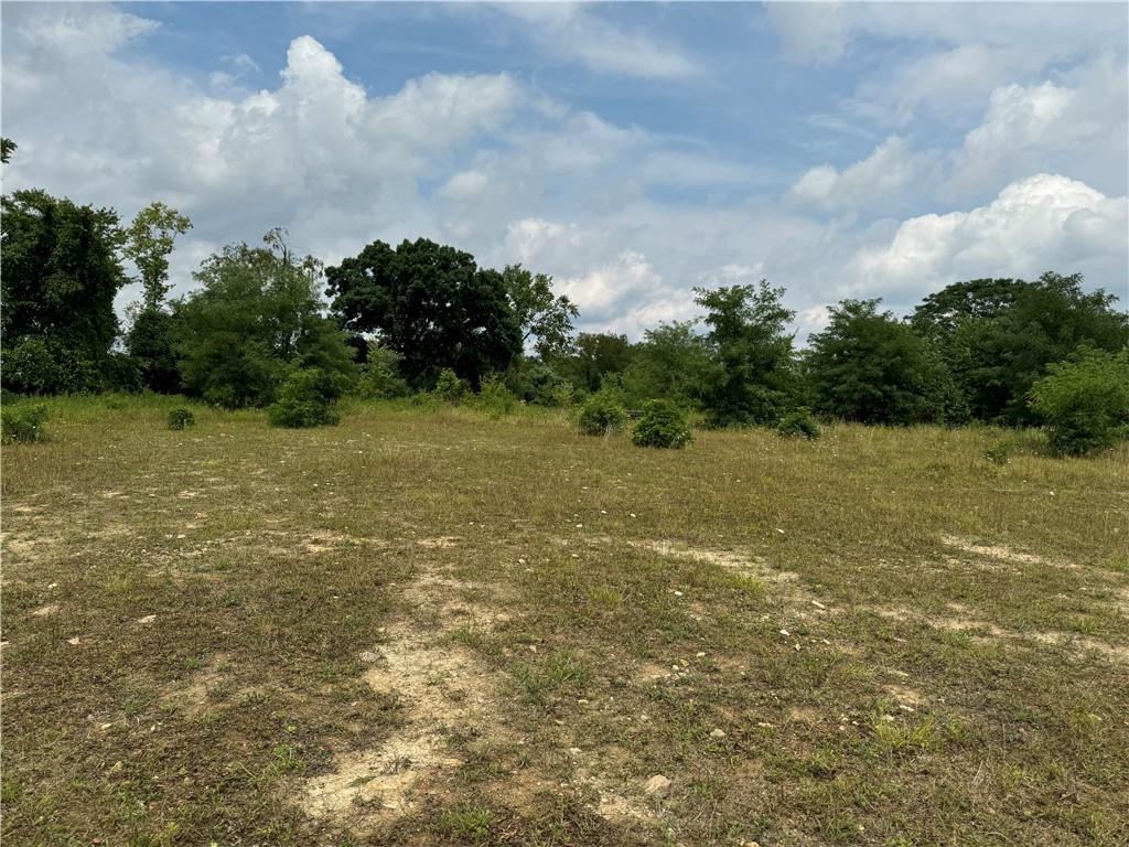 53 Linden Road Canonsburg, PA 15317 - Photo 2 of 19 a view of a field with an trees in back