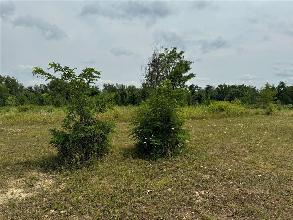 53 Linden Road Canonsburg, PA 15317 - Photo 3 of 19