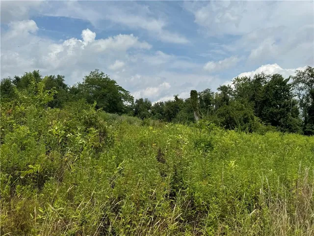 a view of a field with an ocean view
