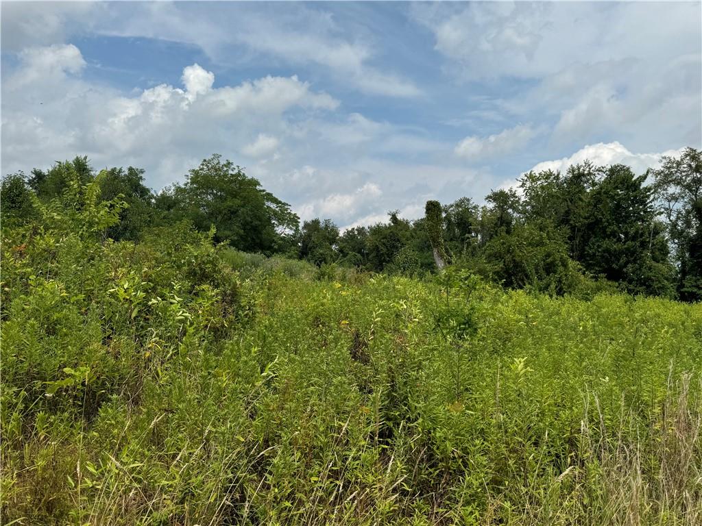 53 Linden Road Canonsburg, PA 15317 - Photo 4 of 19 a view of a garden