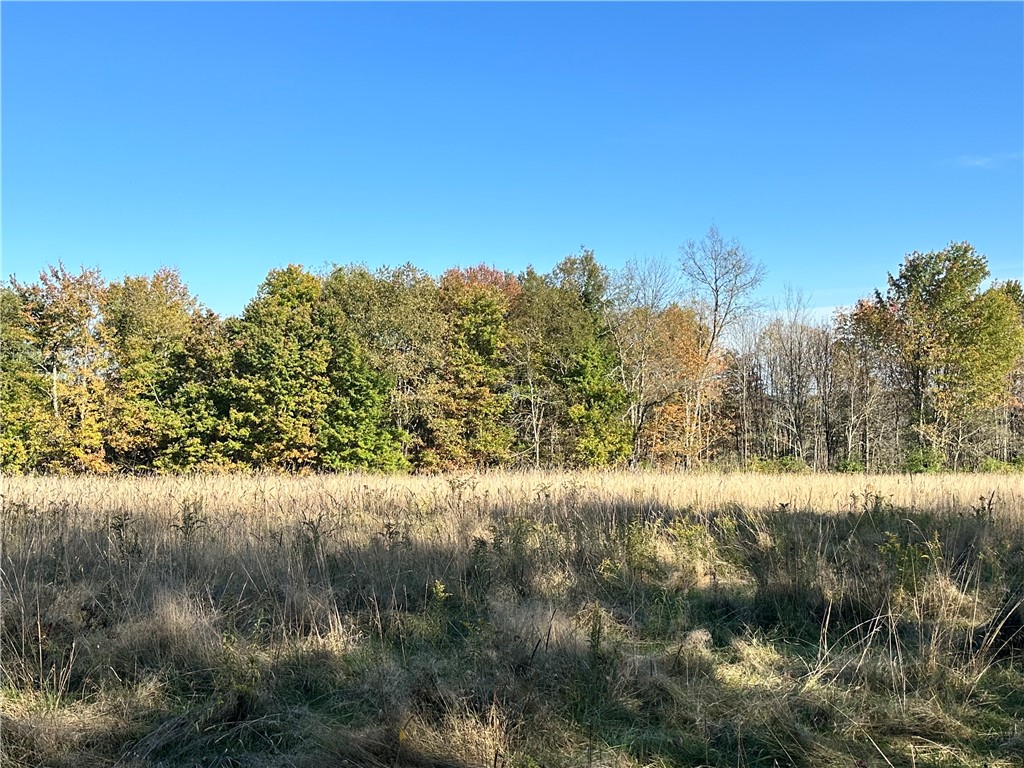 Hill Road Oxford, NY 13830 - Photo 4 of 15 Gallery Image 4