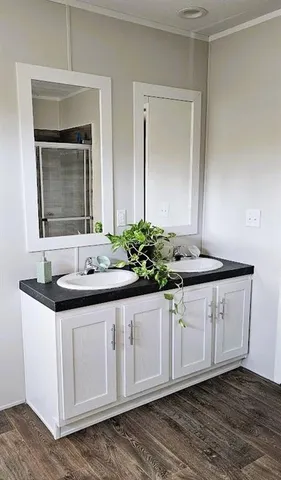 a bathroom with a sink and a mirror