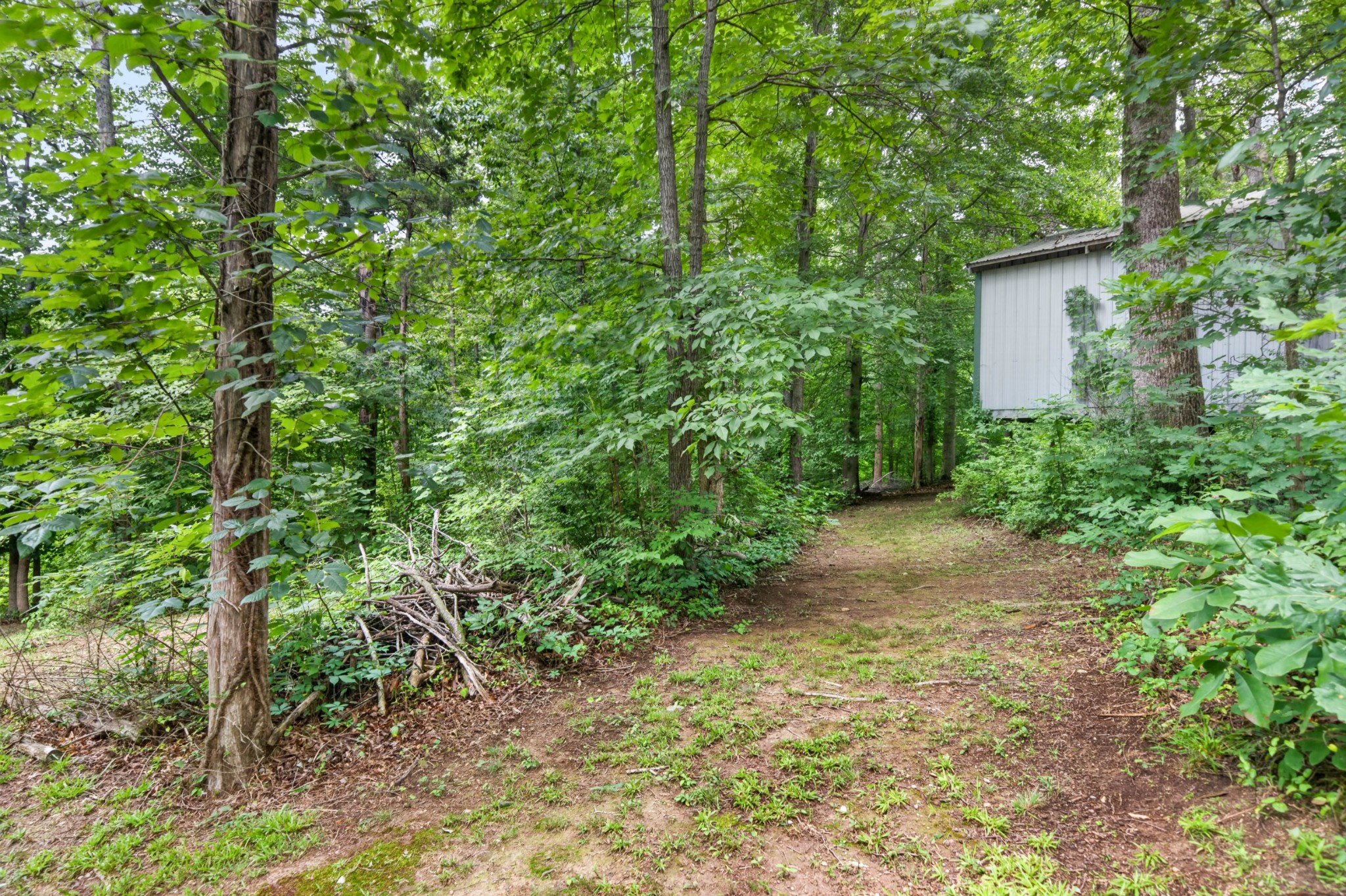 57 Steve Rich Road Red Boiling Springs, TN 37150 - Photo 31 of 42