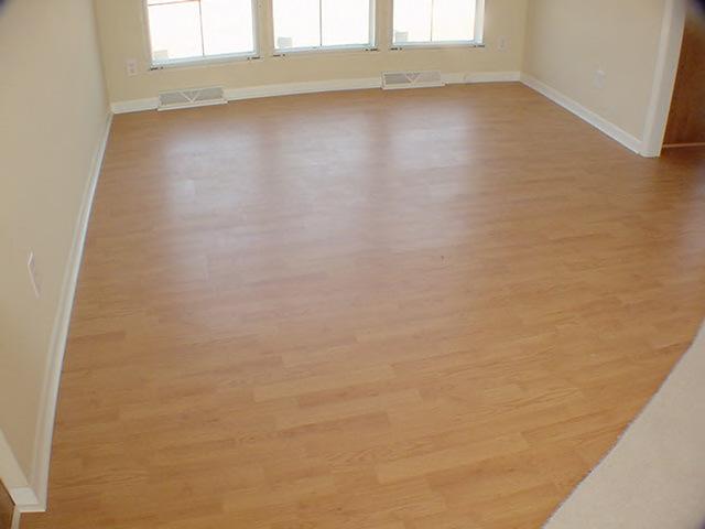 979 Hobson Road Axton, VA 24054 - Photo 4 of 10 a view of a small space with wooden floor and a window