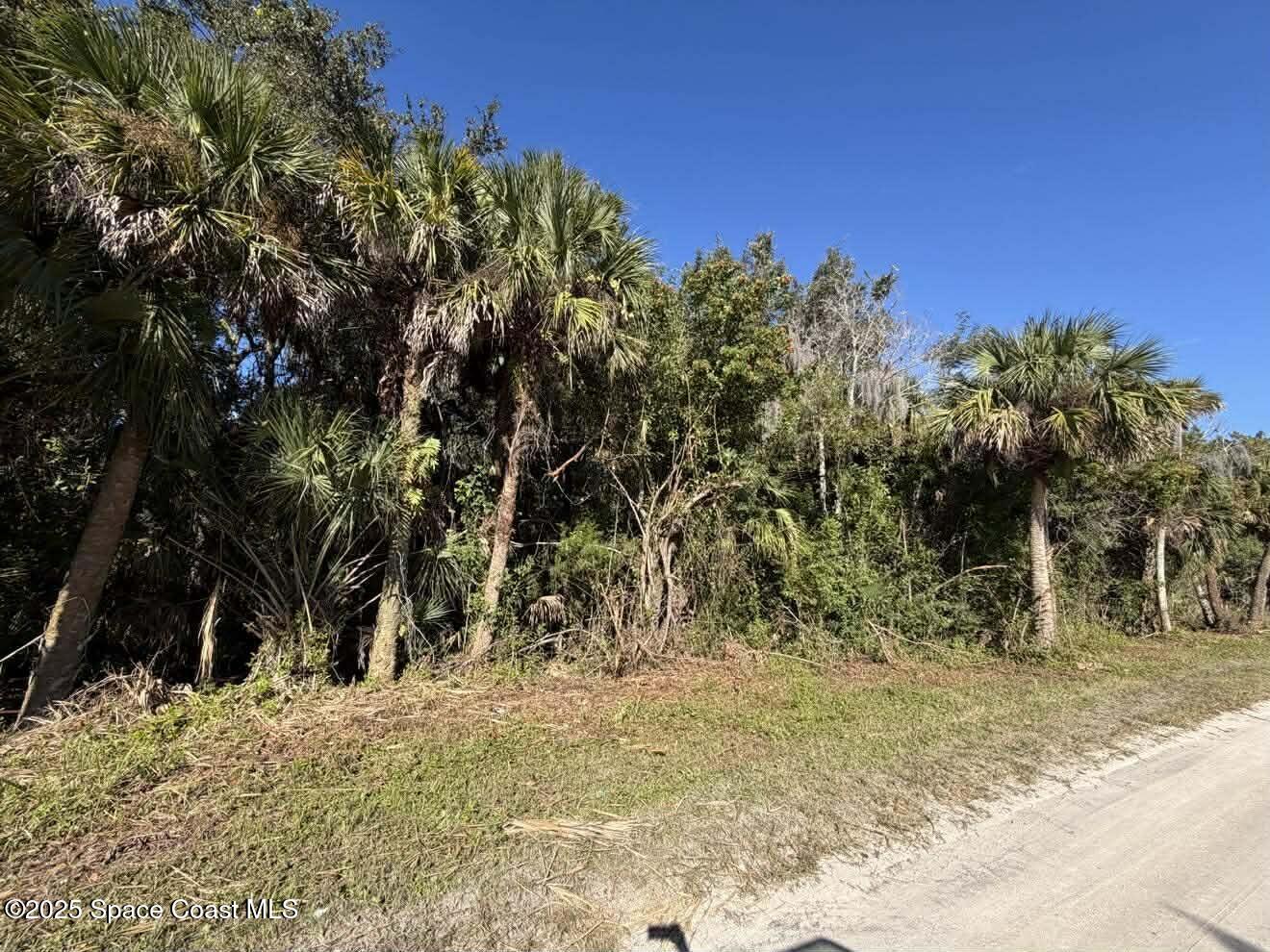 0 Hammock Road Mims, FL 32754 - Photo 16 of 35 597568488_891361440260730_43060366972585