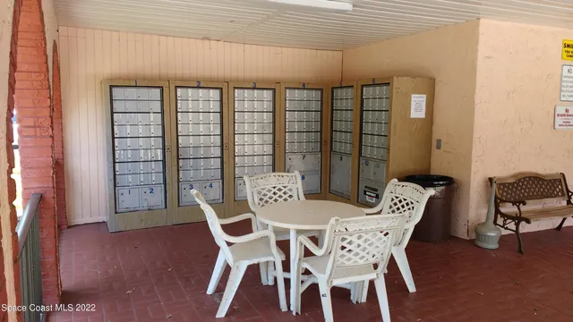 a view of a park with plants