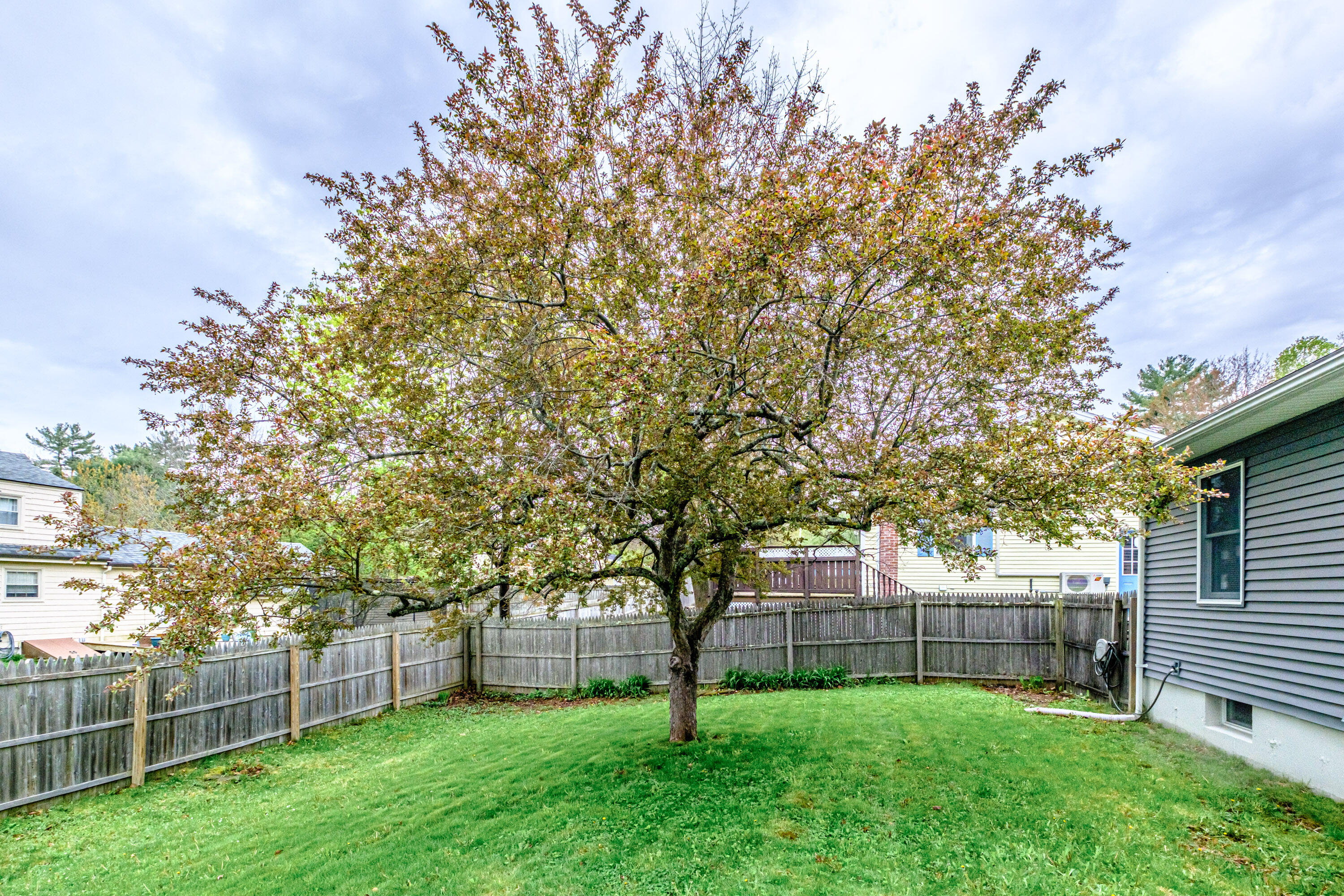 29 Clapboard Road Portland, ME 04103 - Photo 60 of 64 20260514gp-60071