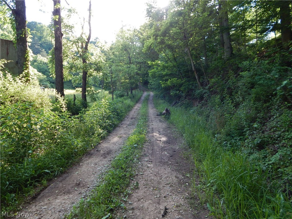 0 Moyers Run Road Harrisville, WV 26362 - Photo 22 of 22 Gallery Image 22