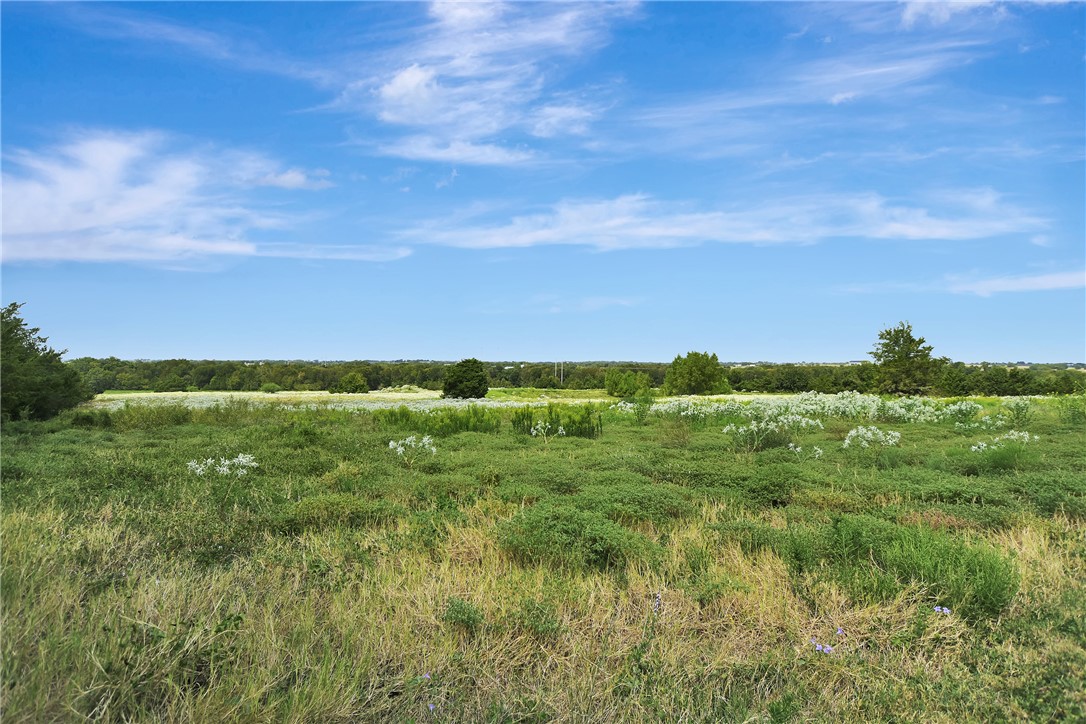 8515 Sandy Hill Road Brenham, TX 77833 - Photo 3 of 25 View of undeveloped land with rural landscape