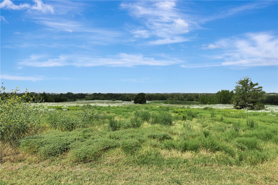 8515 Sandy Hill Road Brenham, TX 77833 - Photo 5 of 25
