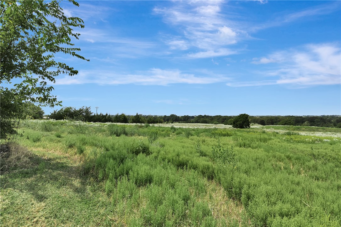 8515 Sandy Hill Road Brenham, TX 77833 - Photo 7 of 25