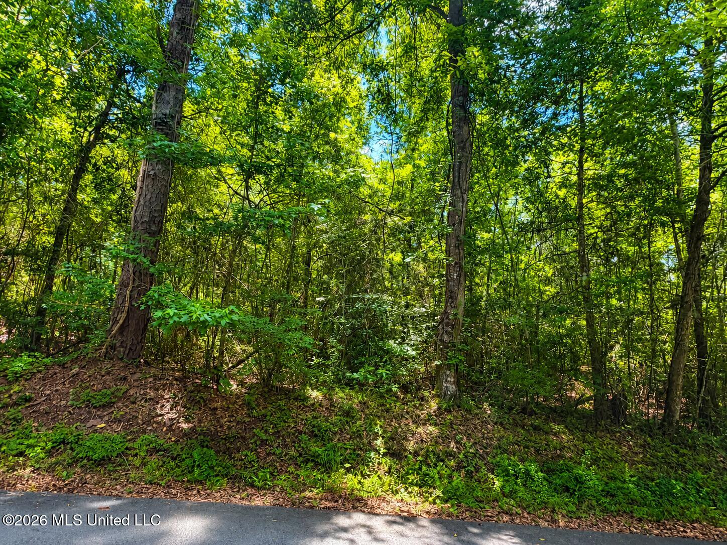 8.2-acres Breland Road McLain, MS 39456 - Photo 10 of 11 v