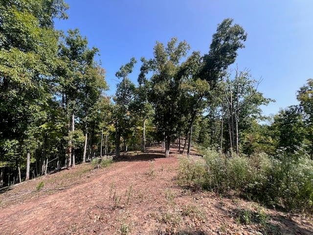 0 Fudges Creek Road Ona, WV 25545 - Photo 27 of 32 Gallery Image 27
