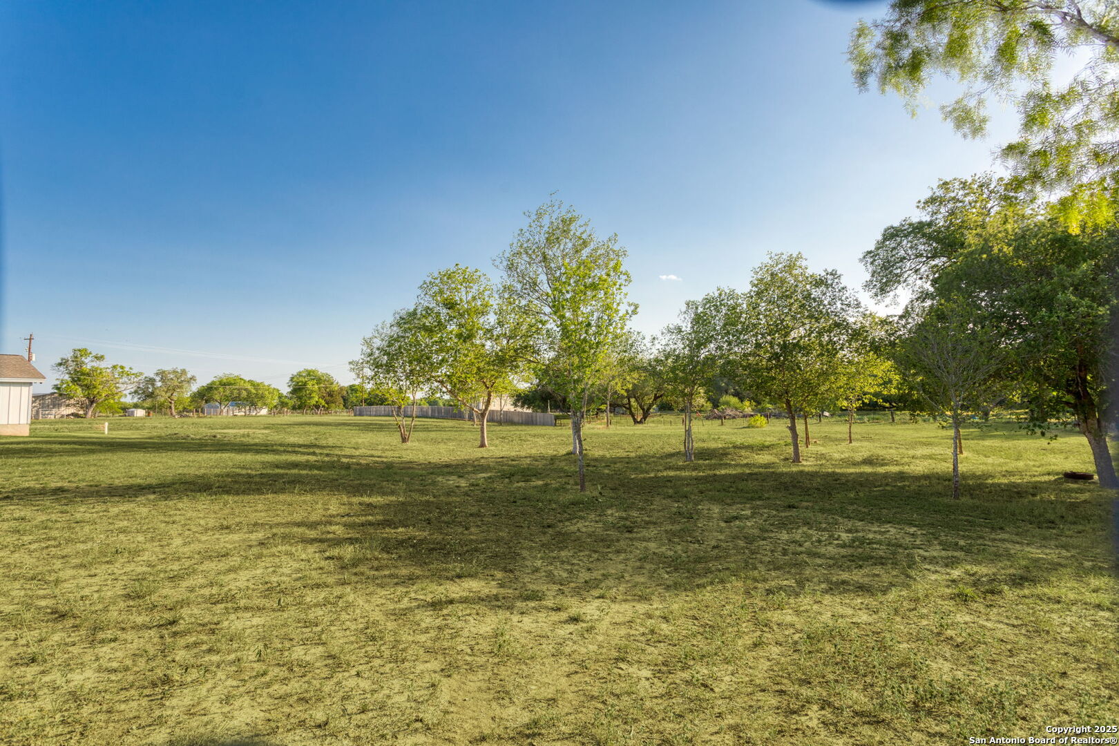 310 Creek Lane Poth, TX 78147 - Photo 16 of 32 a view of a grassy field with an trees