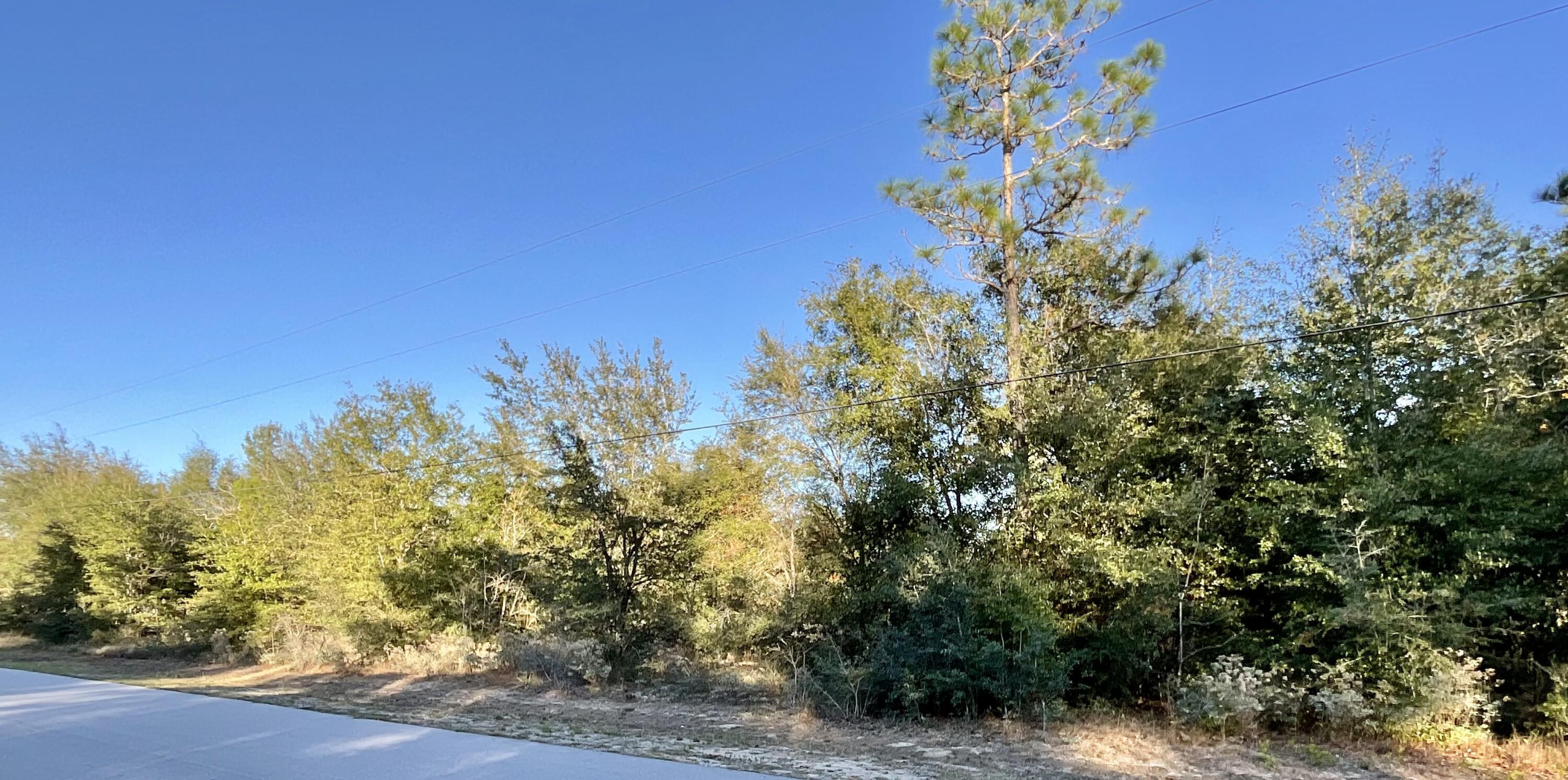 0 Flamingo Road Crestview, FL 32539 - Photo 1 of 5 a view of a tree with a yard