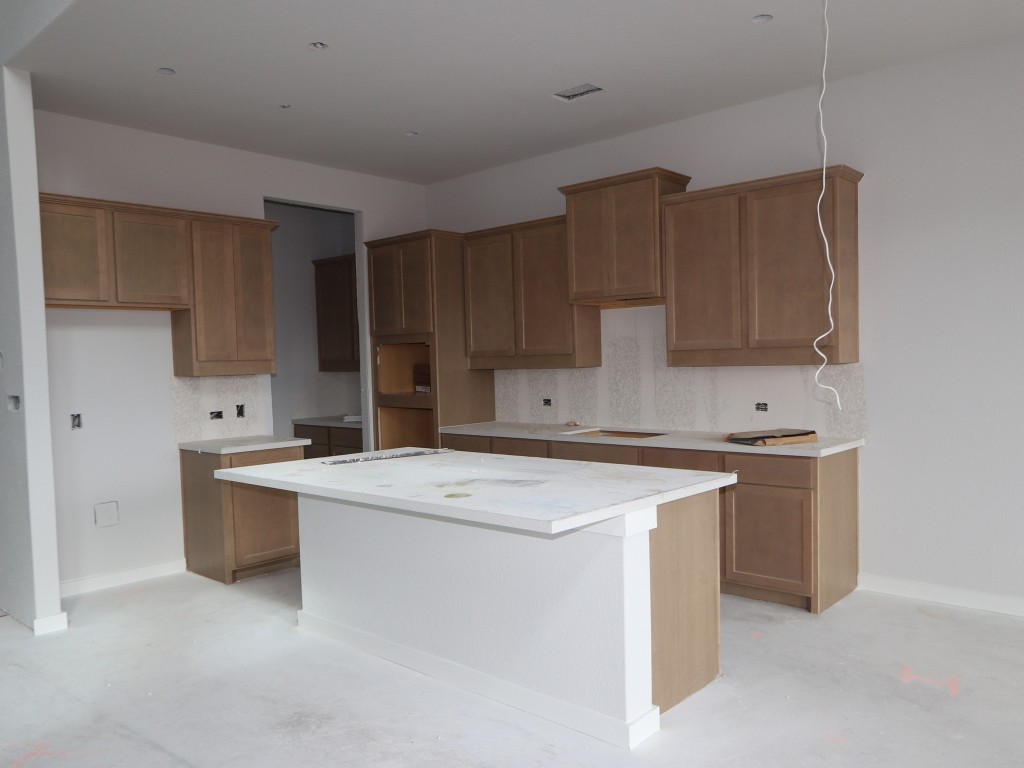 201 Bishop Wood Road Dripping Springs, TX 78620 - Photo 6 of 20