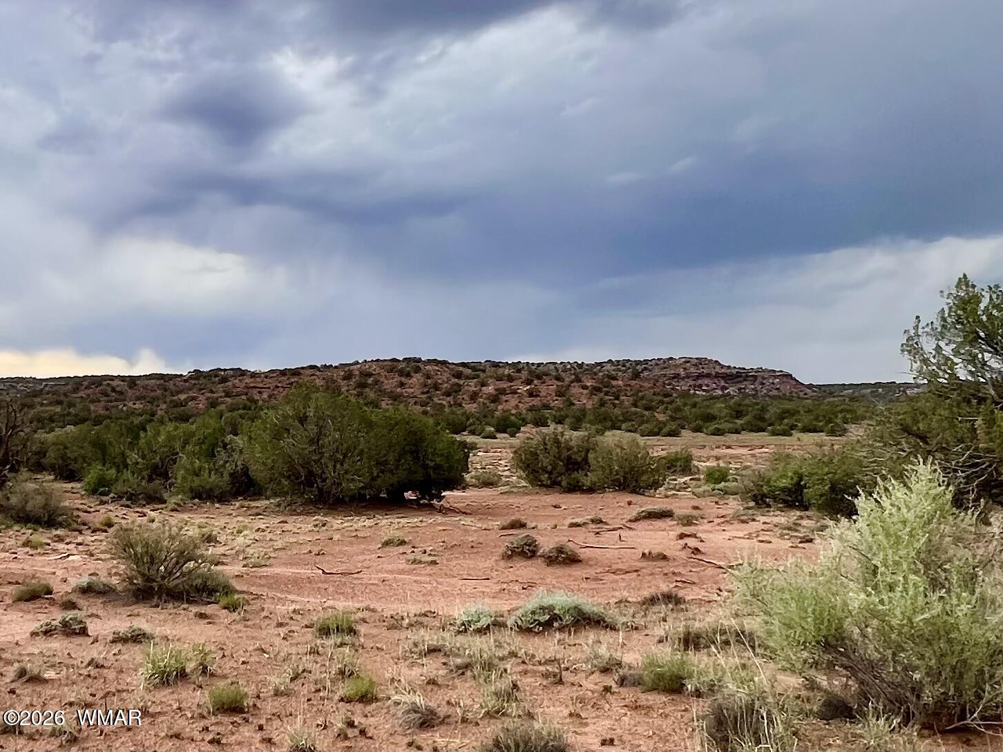 3727 Jay Road Snowflake, AZ 85937 - Photo 3 of 17 a view of a dry yard