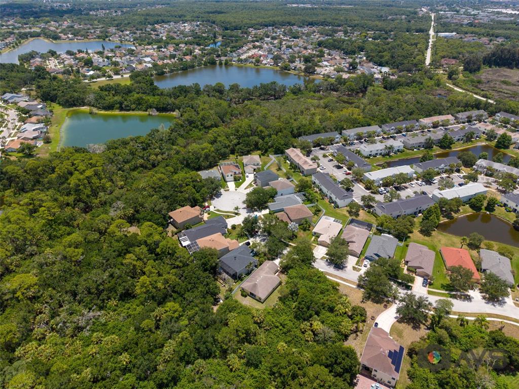 12415 Rustic View Court Tampa, FL 33635 - Photo 69 of 70 Gallery Image 69