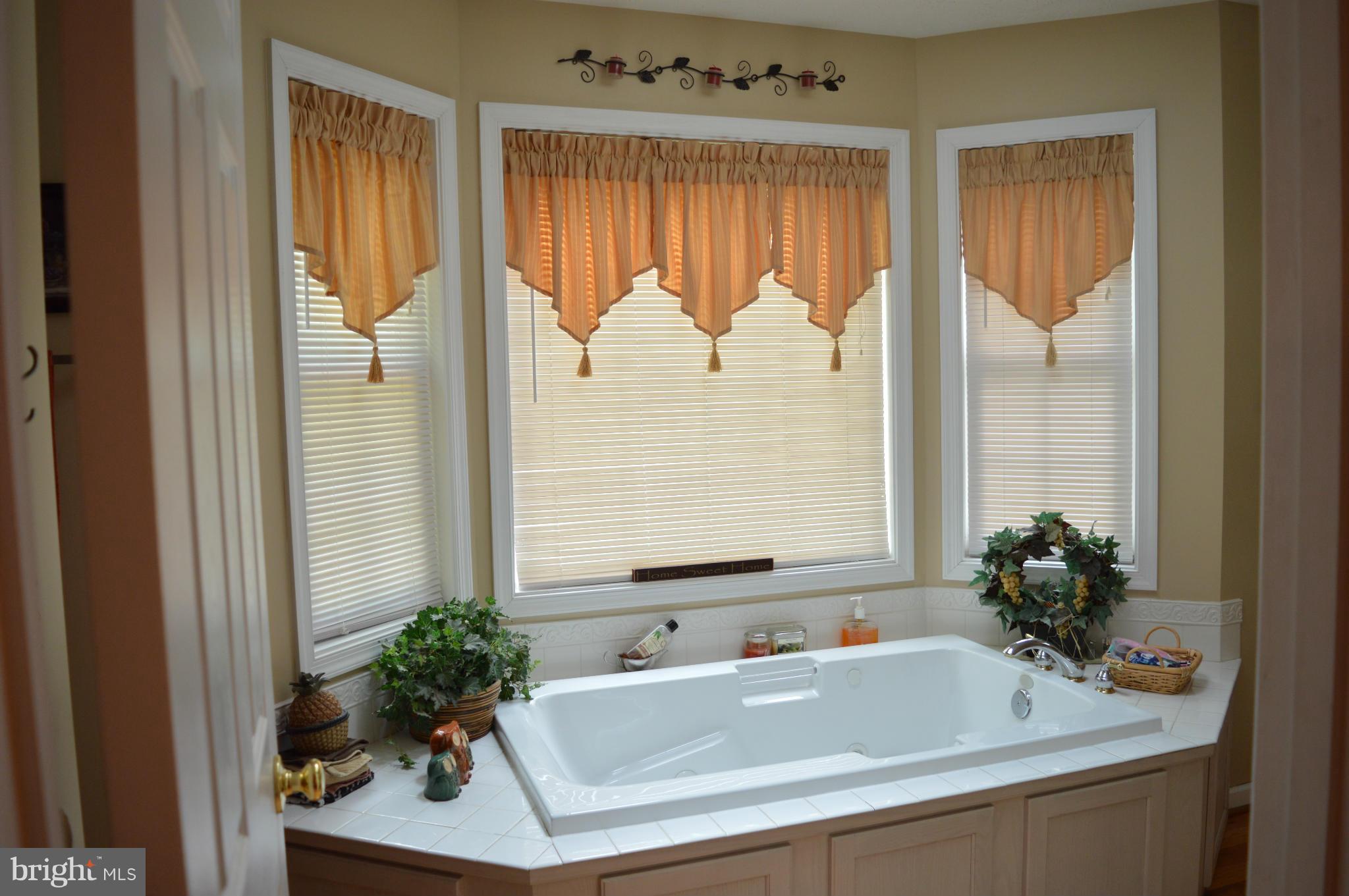 495 McCubbin Road Winchester, VA 22603 - Photo 11 of 29 a bathroom with a sink and a mirror