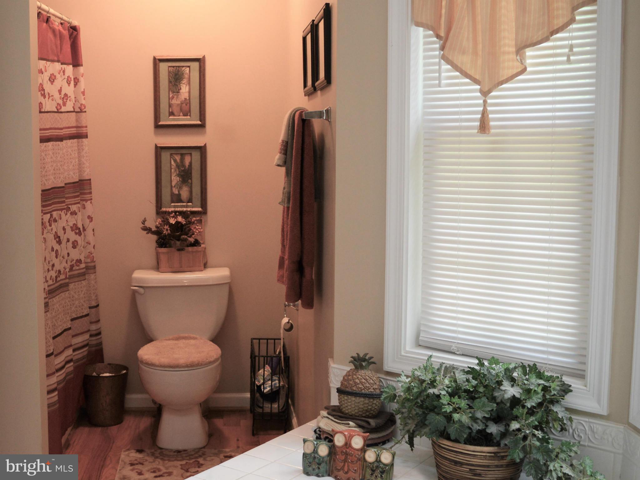 495 McCubbin Road Winchester, VA 22603 - Photo 12 of 29 a bathroom with a toilet and a potted plant