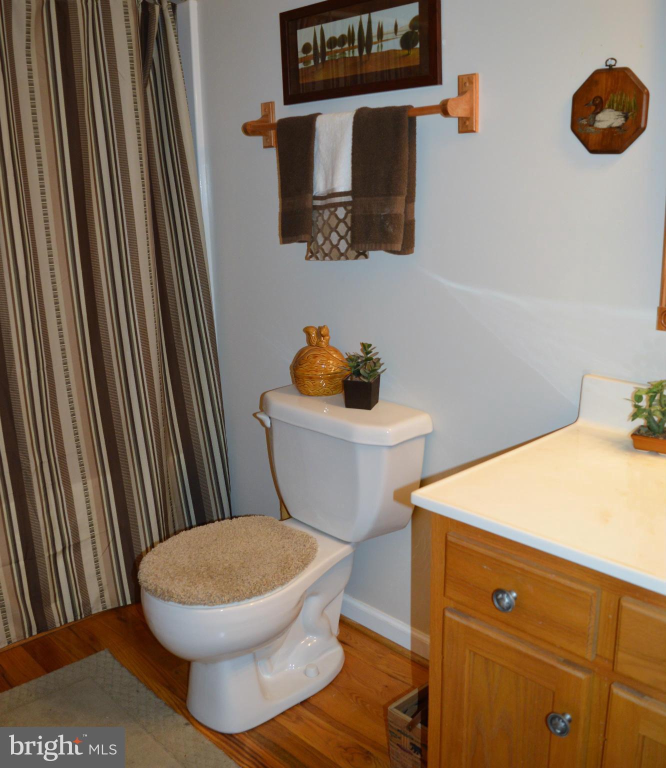 495 McCubbin Road Winchester, VA 22603 - Photo 18 of 29 a white toilet sitting next to a bathroom sink