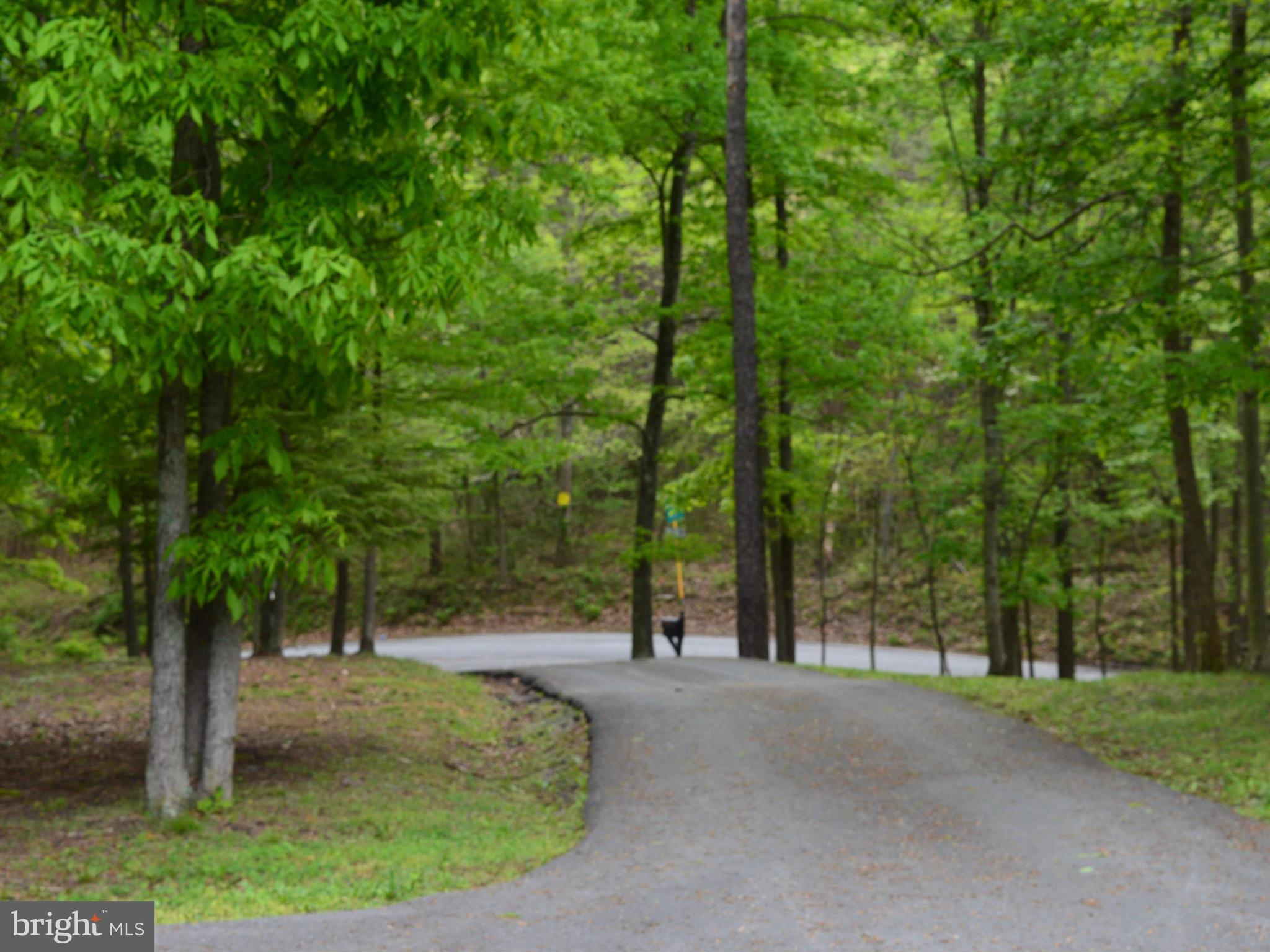 495 McCubbin Road Winchester, VA 22603 - Photo 26 of 29 a view of a park with large trees