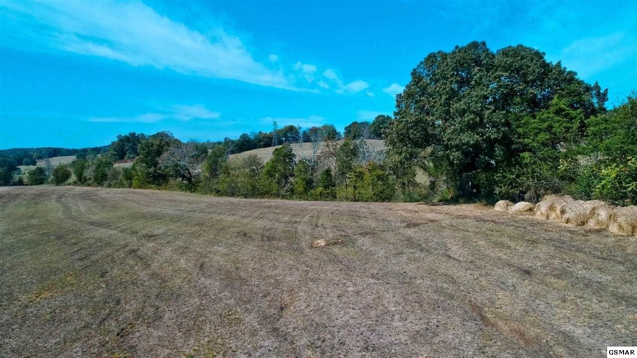 2 Timber Ridge Road Greeneville, TN 37743 - Photo 5 of 27 Gallery Image 5