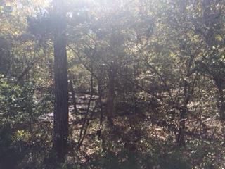 1302 Campbell Ridge Road Kingston Springs, TN 37082 - Photo 5 of 5 a view of forest