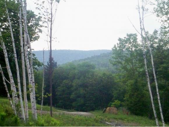 5 Locust Heights Dover, VT 05341 - Photo 17 of 29