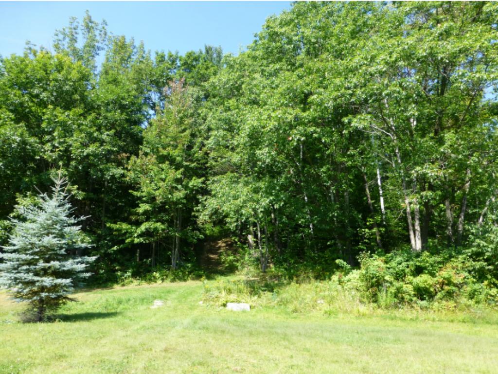 5 Locust Heights Dover, VT 05341 - Photo 22 of 29