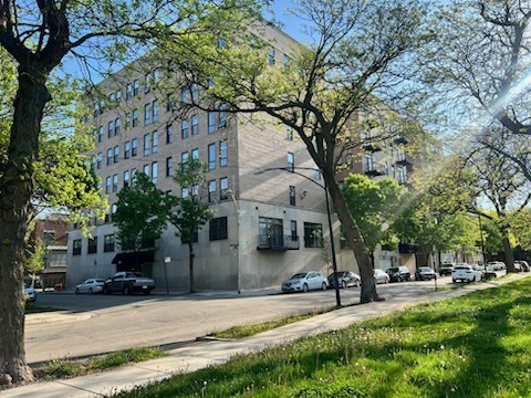 811 South Lytle Street, Unit 211 Chicago, IL 60607 - Photo 1 of 28