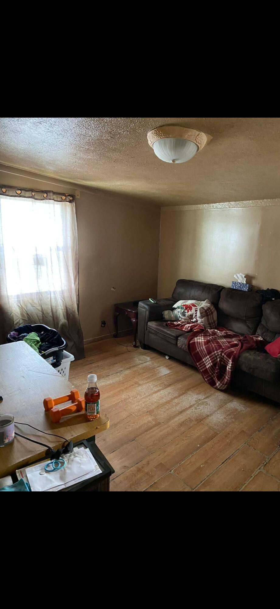 340 East Arbor Street Marcellus, MI 49067 - Photo 4 of 6 IMG_4928