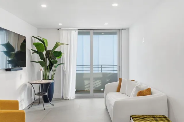 a living room with furniture and a potted plant