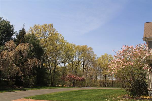 19 Pendulum Pass Hopkinton, MA 01748 - Photo 29 of 30 a view of a park with large trees