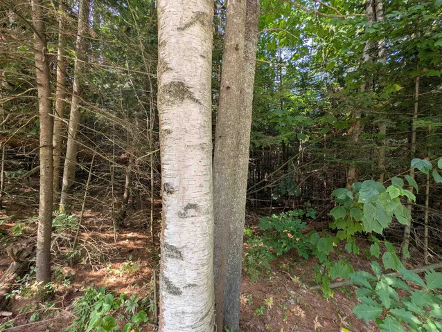 $70,000 | 0 Vt Route 102, Maidstone, VT 05905