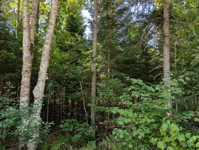 $70,000 | 0 Vt Route 102, Maidstone, VT 05905