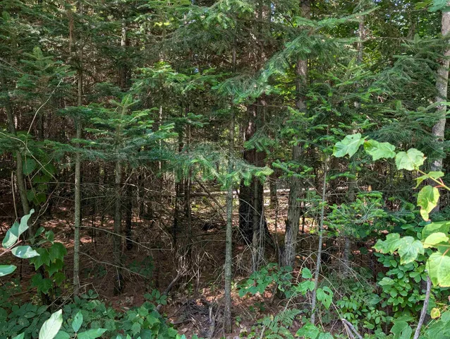 $70,000 | 0 Vt Route 102, Maidstone, VT 05905