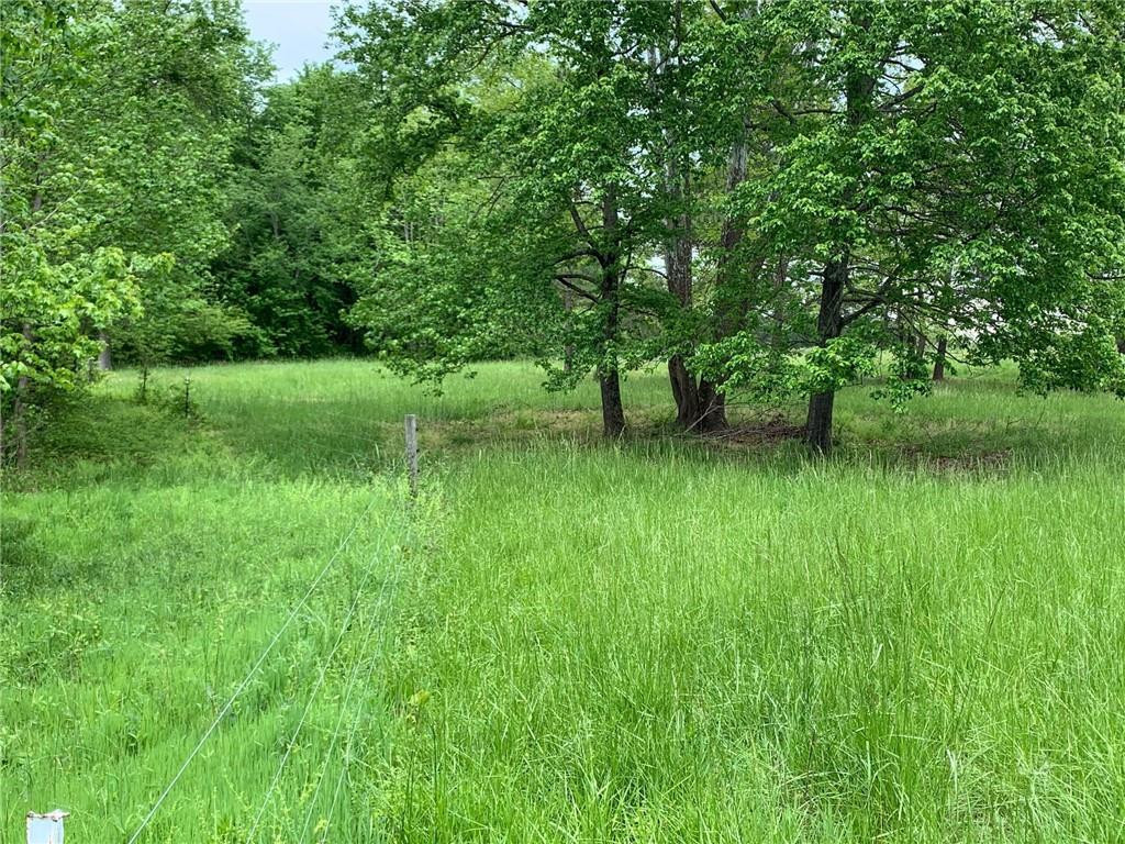 Lot 1 County Home Road Blanch, NC 27212 - Photo 1 of 5 Gallery Image 1