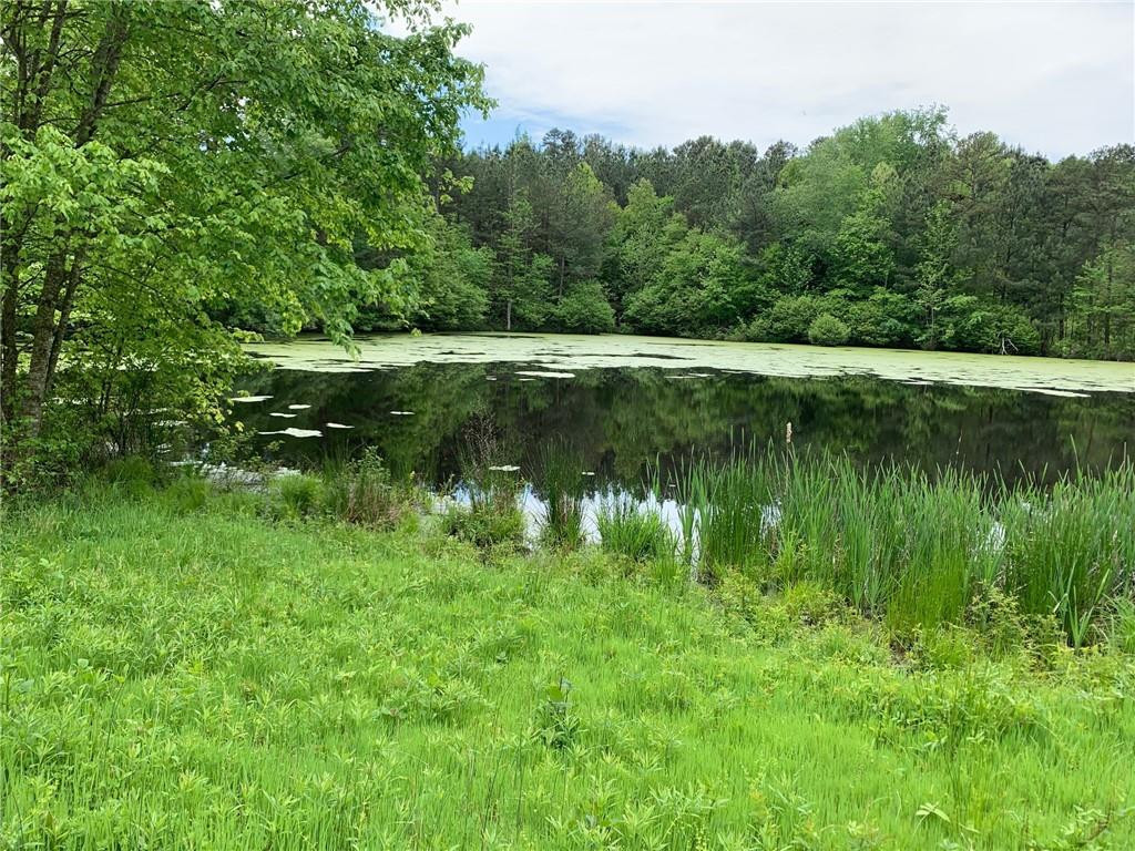Lot 1 County Home Road Blanch, NC 27212 - Photo 2 of 5 Gallery Image 2