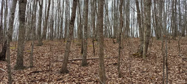 a view of a row of shower with a garden