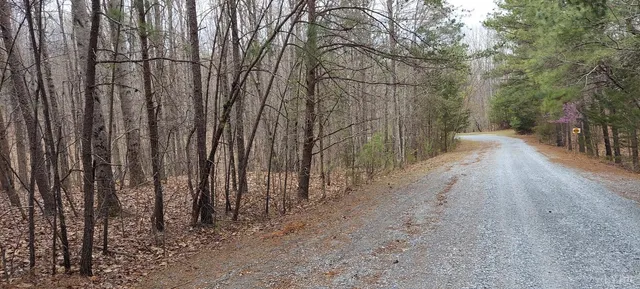 a view of a backyard of the house