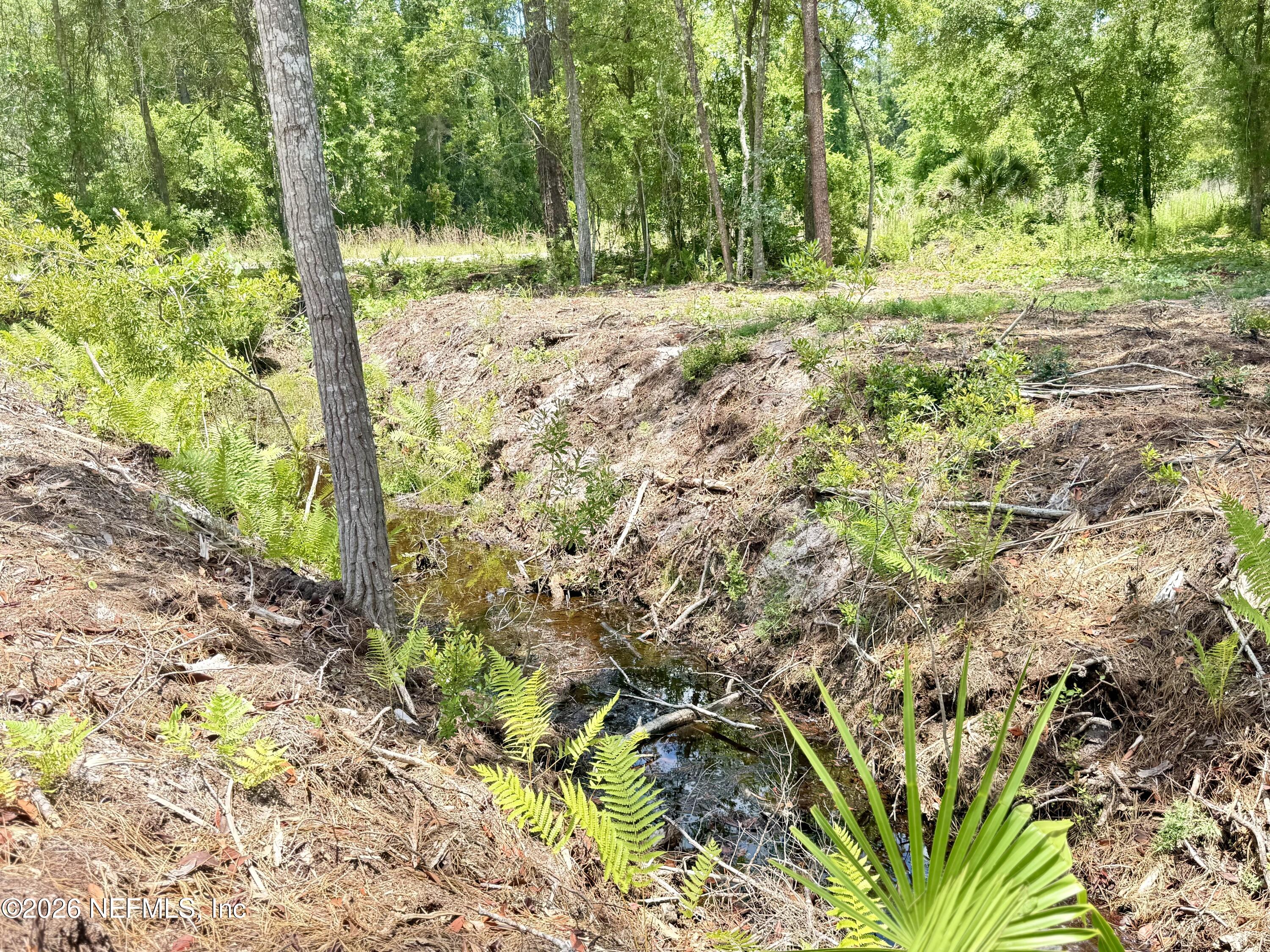438 Chamberlain Road Satsuma, FL 32189 - Photo 15 of 21 IMG_2974