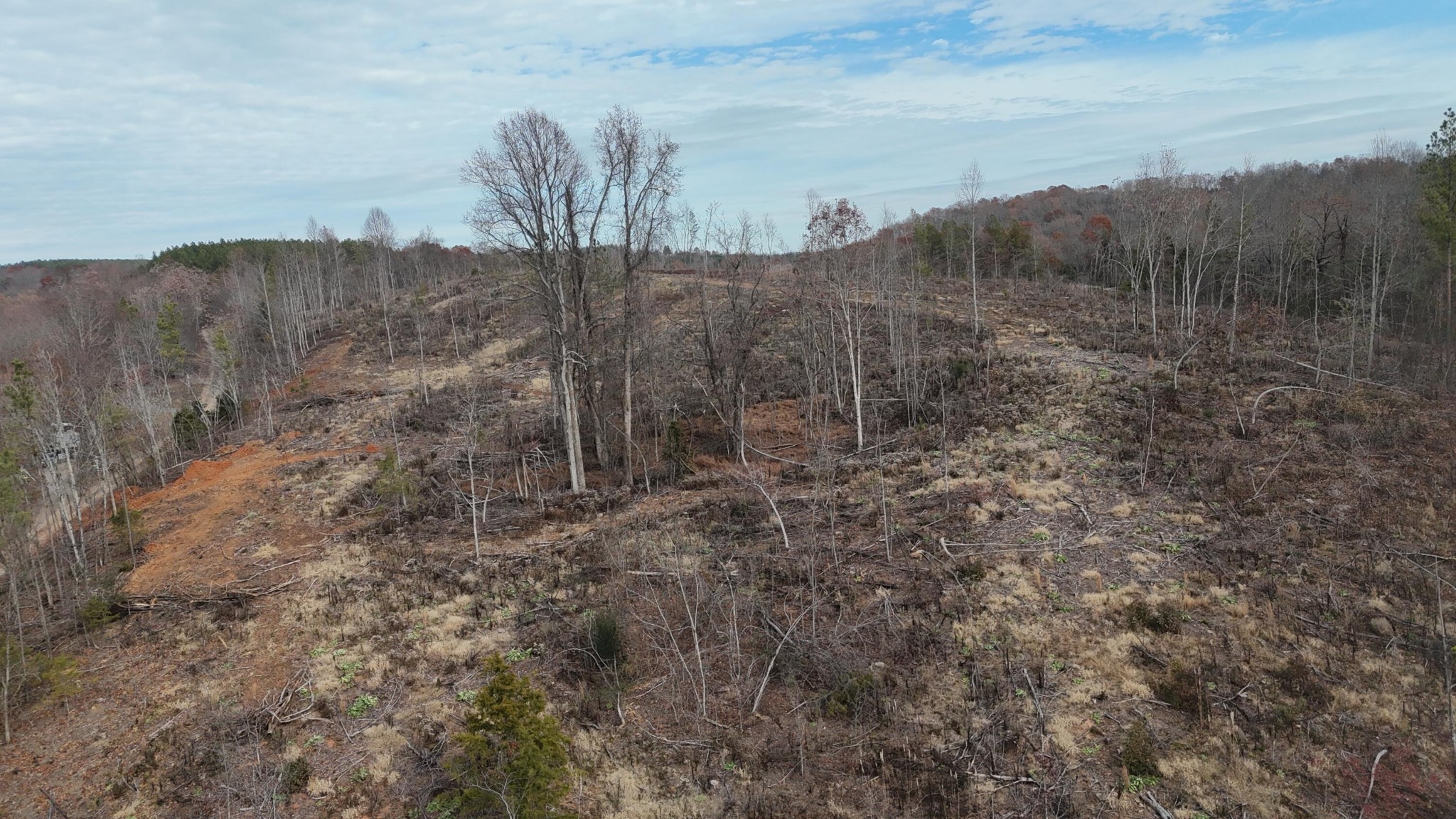 3 Lamontville Road Calhoun, TN 37309 - Photo 25 of 47 a view of a dry yard with trees in the background