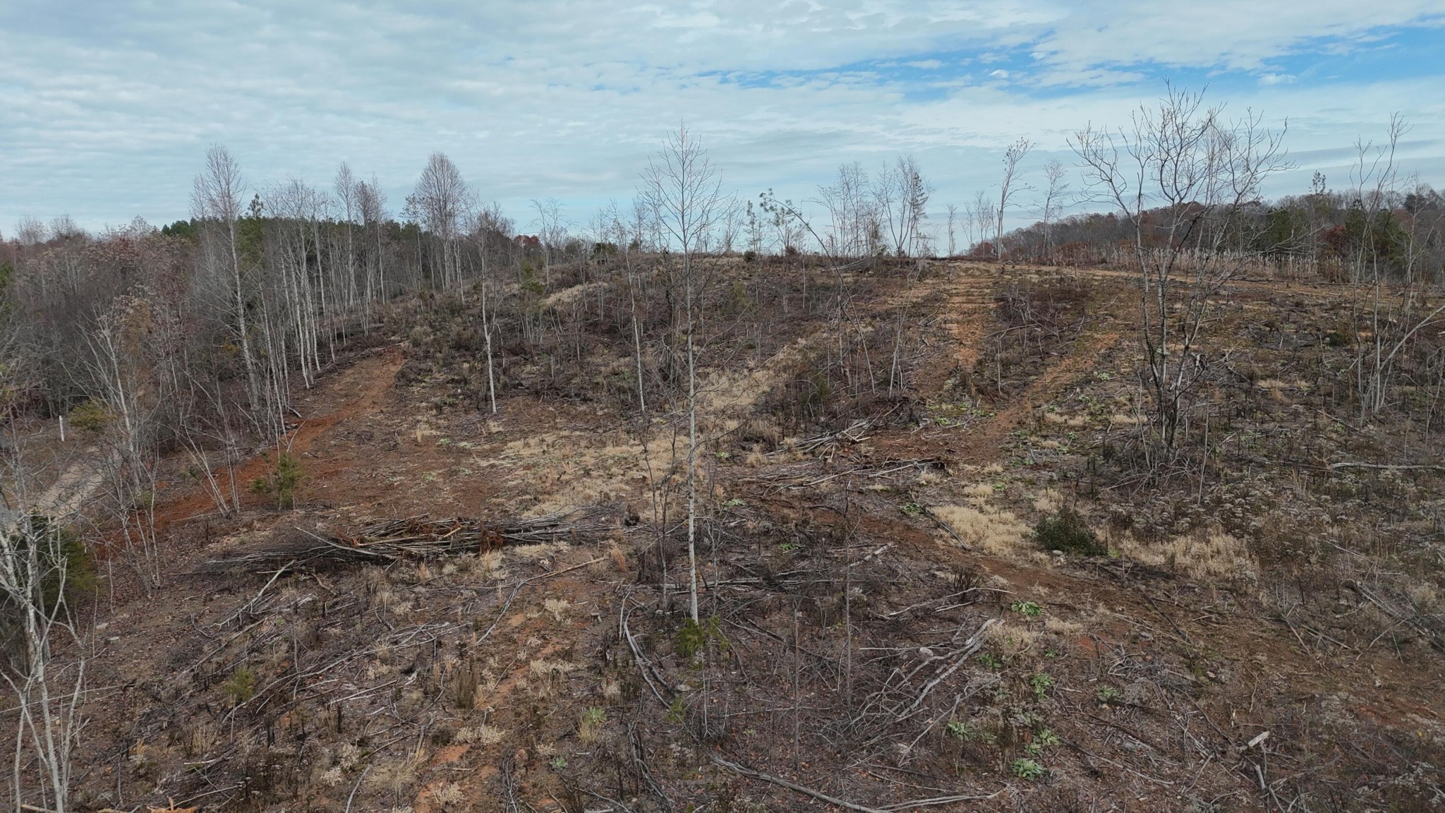 3 Lamontville Road Calhoun, TN 37309 - Photo 27 of 47 a view of a dry yard with trees and bushes