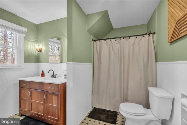 a bathroom with a sink a toilet a mirror a vanity and shower