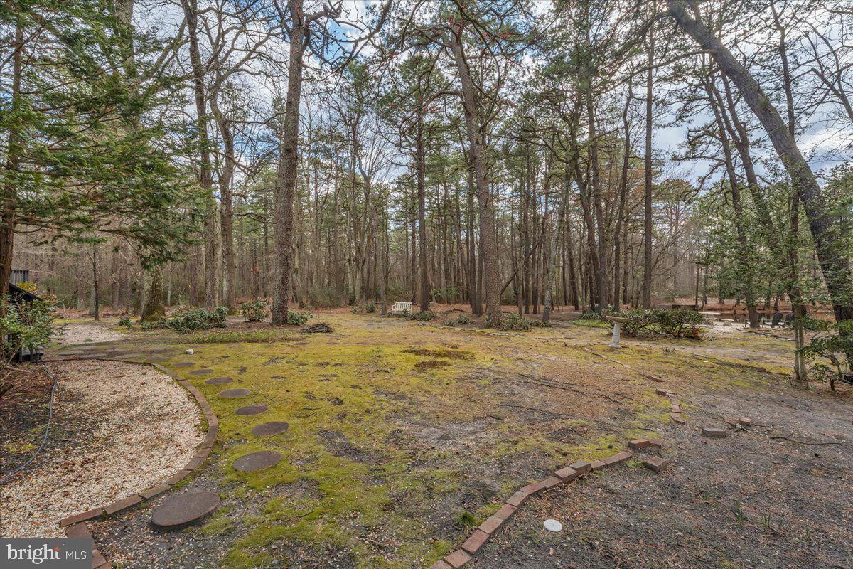 128 Bortons Road Marlton, NJ 08053 - Photo 34 of 48 a view of swimming pool with trees