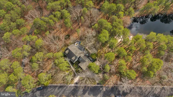 a view of a yard with plants and tree