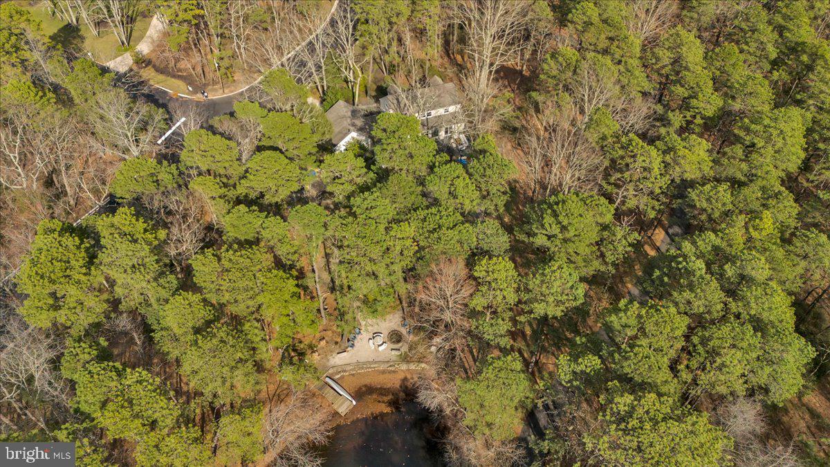 128 Bortons Road Marlton, NJ 08053 - Photo 40 of 48 a view of a yard with a tree